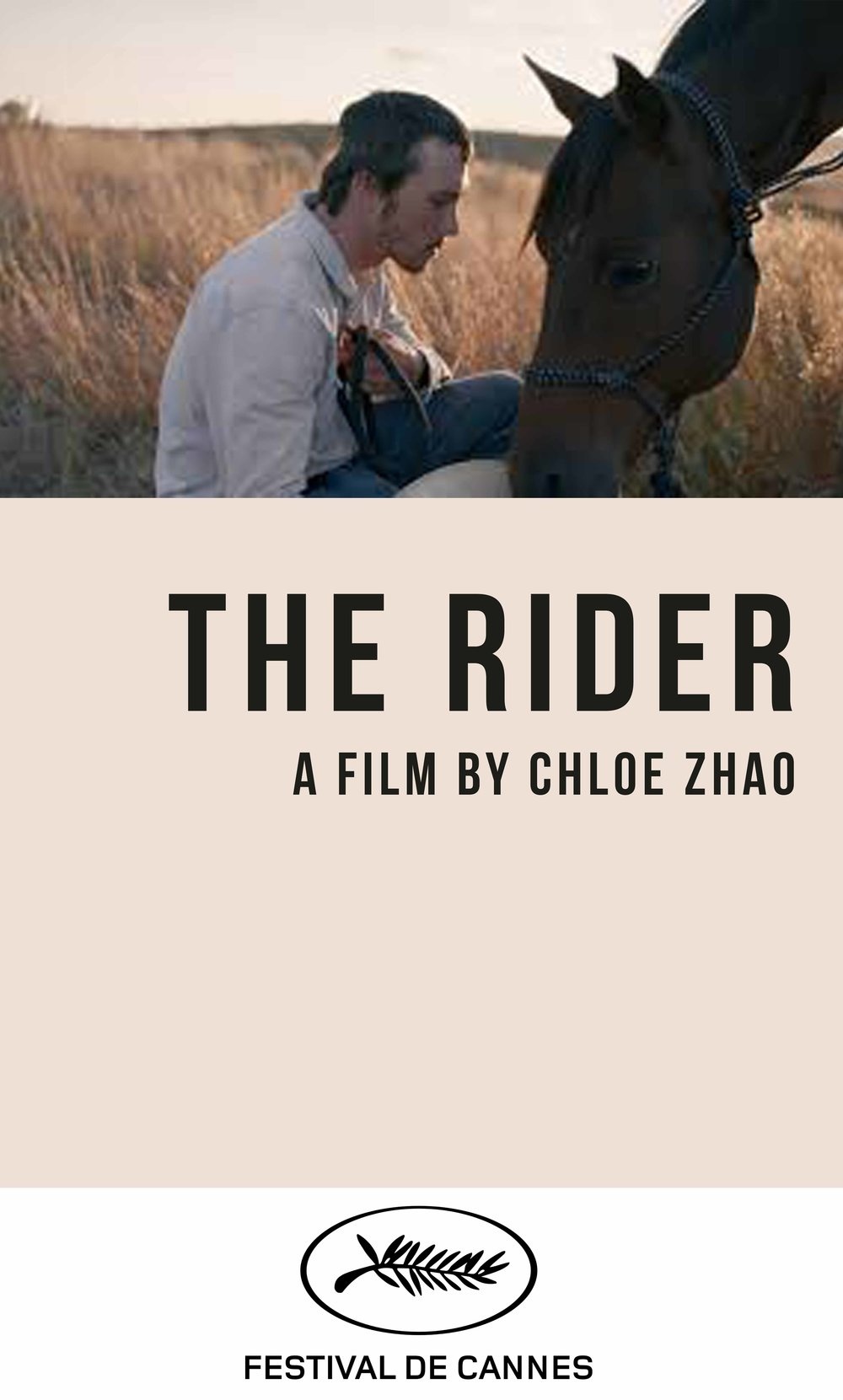 電影騎士網(wǎng),電影騎士網(wǎng),探索電影的奇妙世界