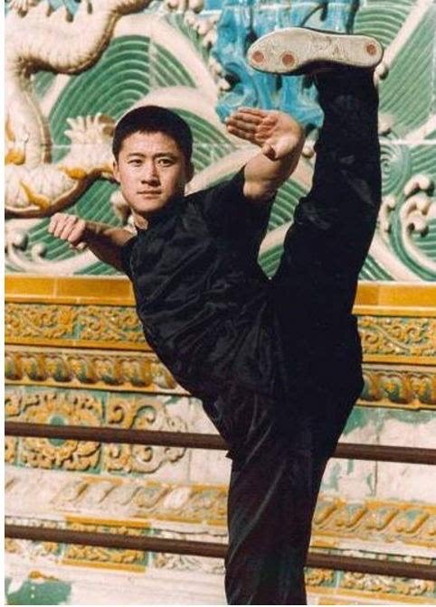 螳螂拳電視劇,武術藝術的影視探尋