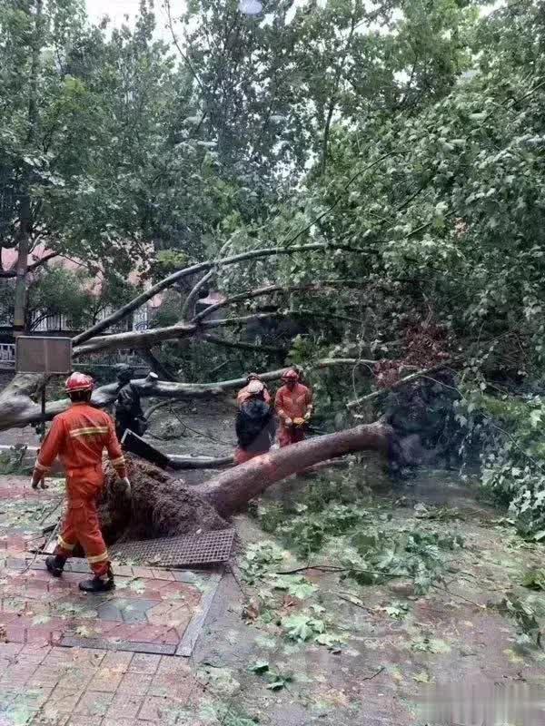 臺風路徑實時發布系統2019最新與小巷神秘特色小店的獨特魅力