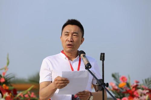 王海棠演員,演藝之路的璀璨之星