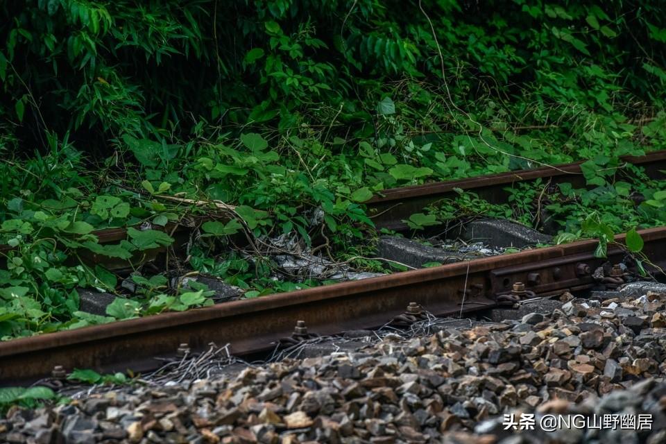 寧國鐵路最新動態,小巷深處的風情與特色小店魅力