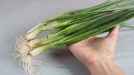 隆化新鮮資訊,隆化新鮮資訊，高科技產品引領未來，體驗前所未有的智能生活