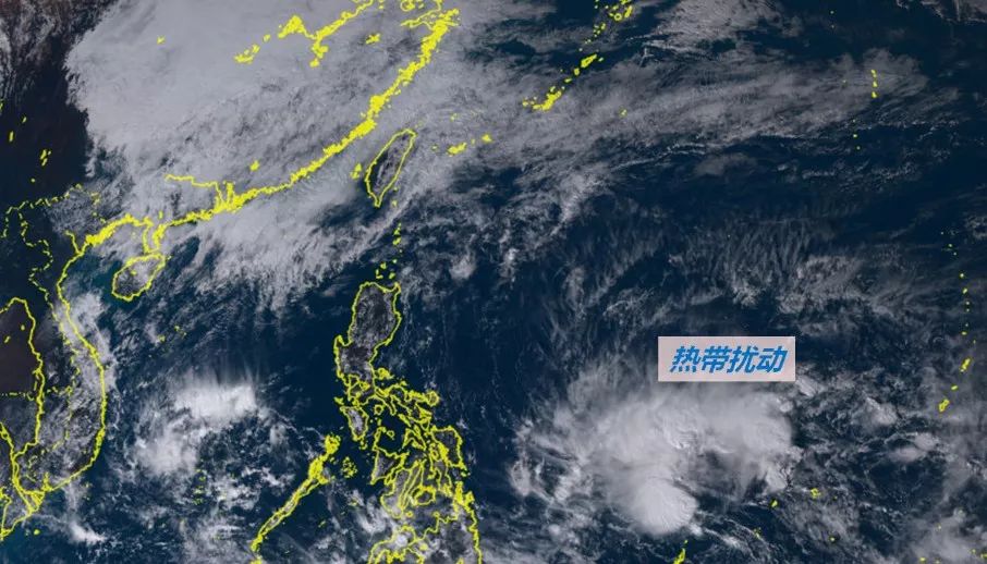 熱帶氣旋最新動(dòng)態(tài)與風(fēng)暴中的溫情故事