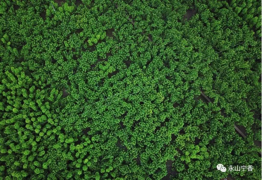 四川簡陽永寧最新動態揭秘,自然之旅探尋內心平和之路