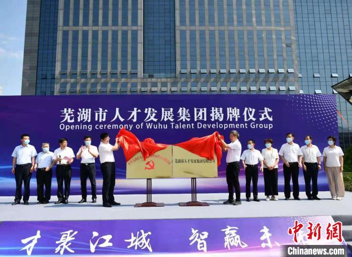 蕪湖縣人才招聘信息，夢想起航，未來等你展翅職場之路