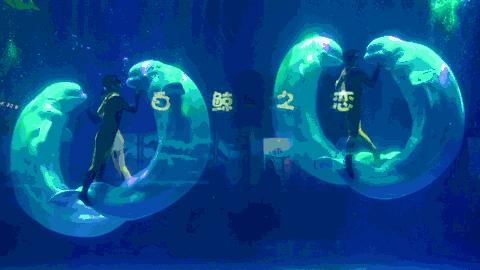 海洋海昌公園門票價格,時代的印記與公眾的記憶回顧