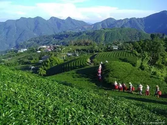 姜山冷門消息揭秘,從未知到已知的驚人轉變