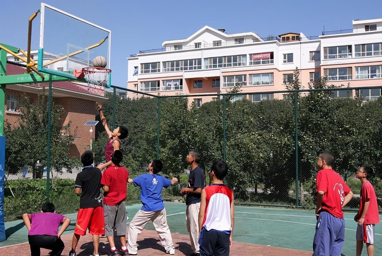 高考最新動態,高考最新動態，一場心靈與自然的奇妙旅行