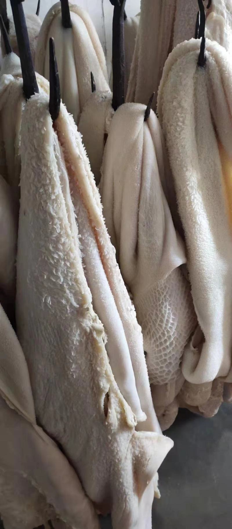 牛肚批發(fā)價(jià)格揭秘,小巷特色小店的探索之旅