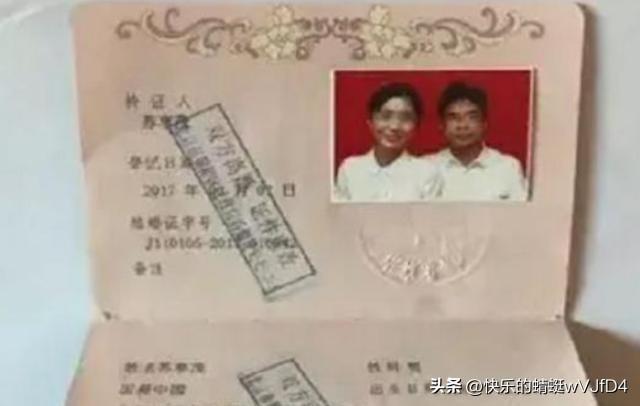 2024天天彩全年免費資料,詳細數據解讀_明星版11.680