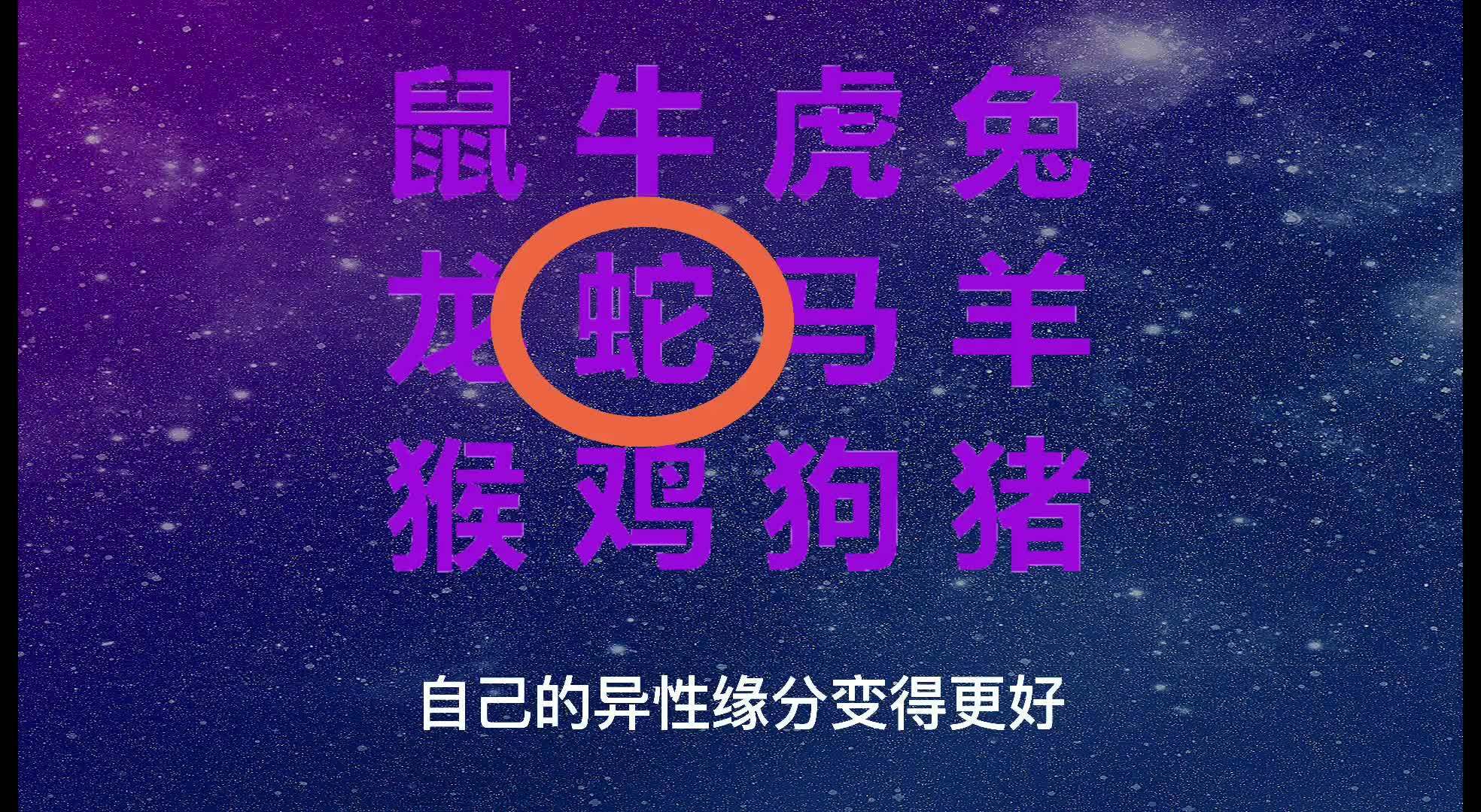 2024澳門今天晚上開什么生肖啊,高效運行支持_媒體宣傳版34.925