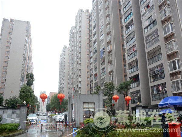 寧德金涵小區最新動態更新????