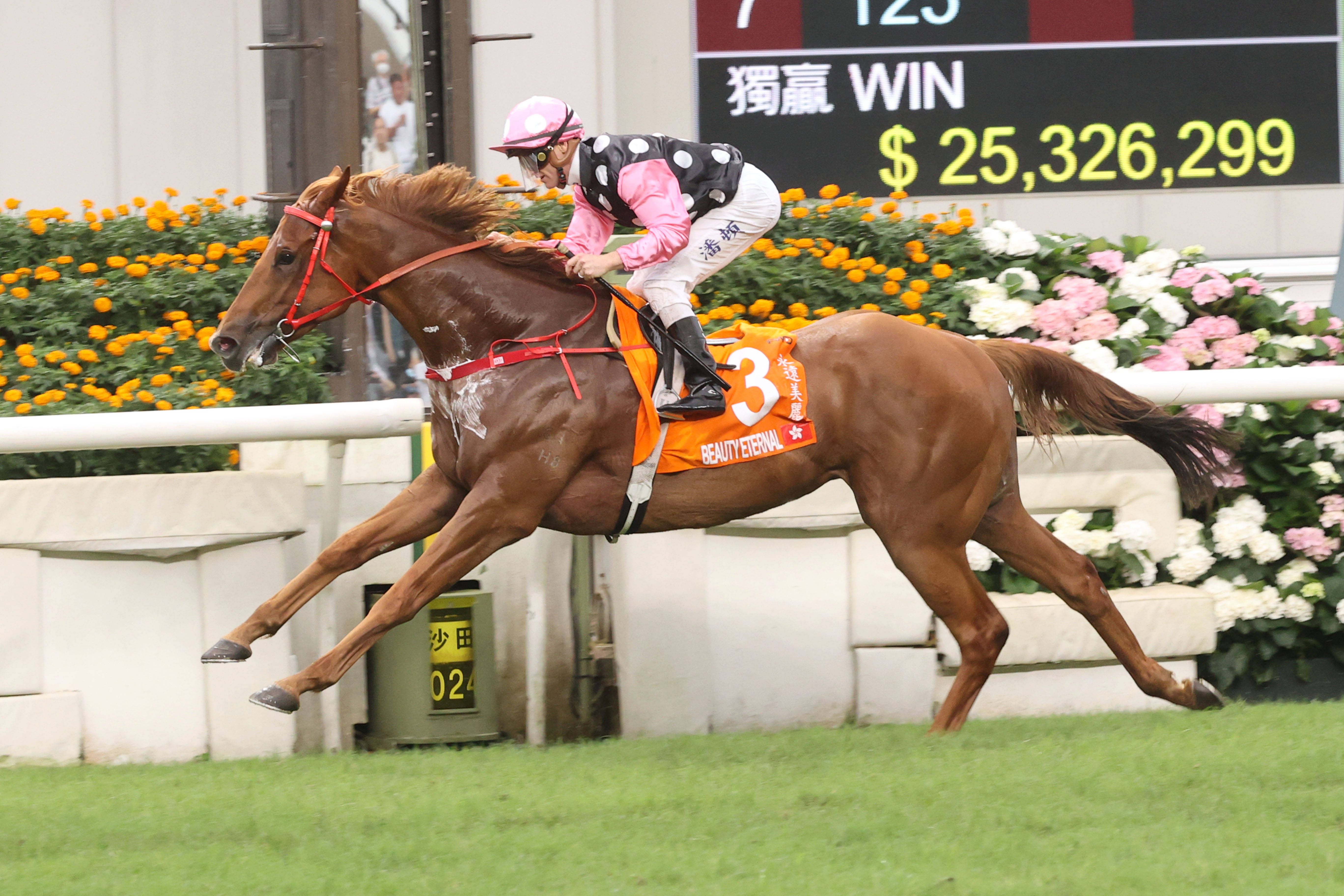 2024香港賽馬全年免費資料,專家意見法案_收藏版6.401