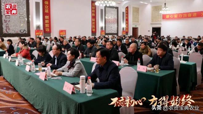 2025年天天彩免費資料大全,創新發展策略_潮流版9.938