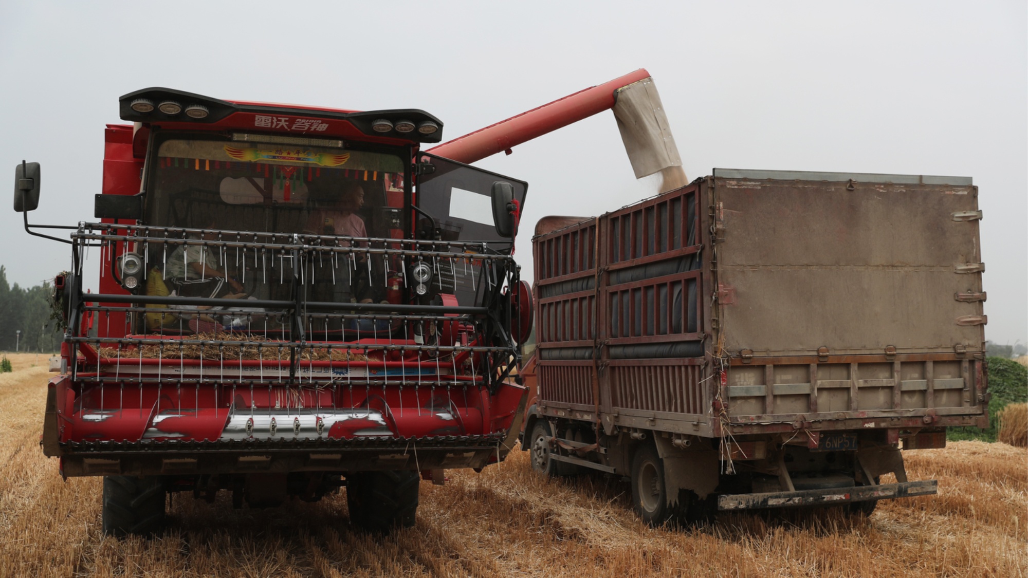 2025年澳門全年免費大全,農業機械化與電氣化_旗艦設備版39.429