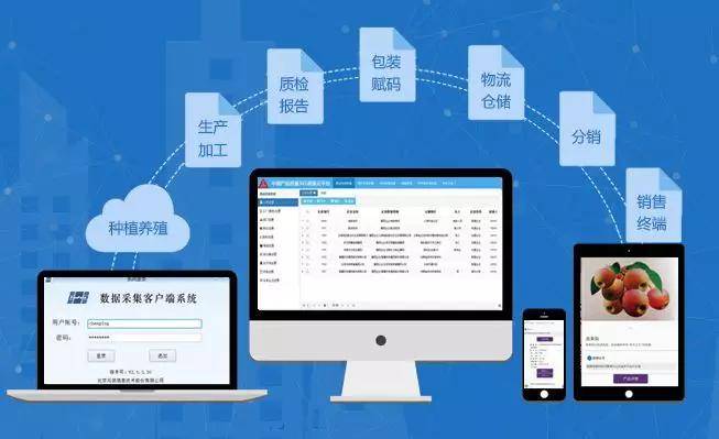 2025新澳門正版資料大全視頻,數(shù)據(jù)導向計劃_量身定制版61.233
