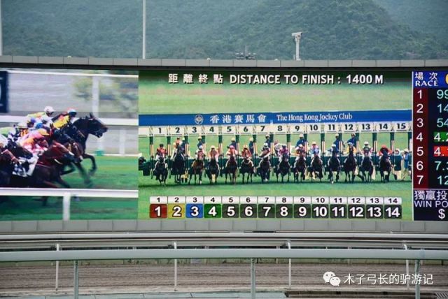2025香港賽馬全年免費資料,數據驅動方案_移動版37.396