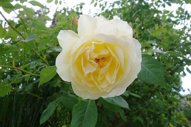 最新個性簽名長篇精選,巷弄深處的獨特小店探索之旅