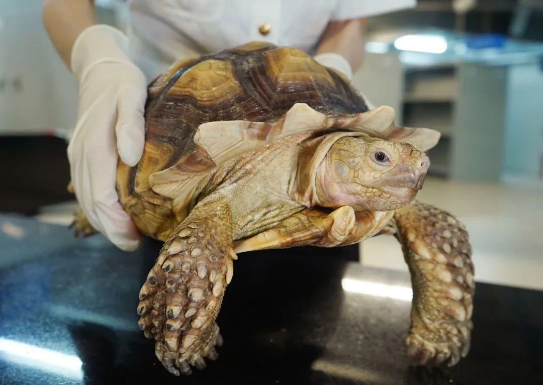 新2024奧門兔費資料,精細評估方案_經(jīng)典版7.657