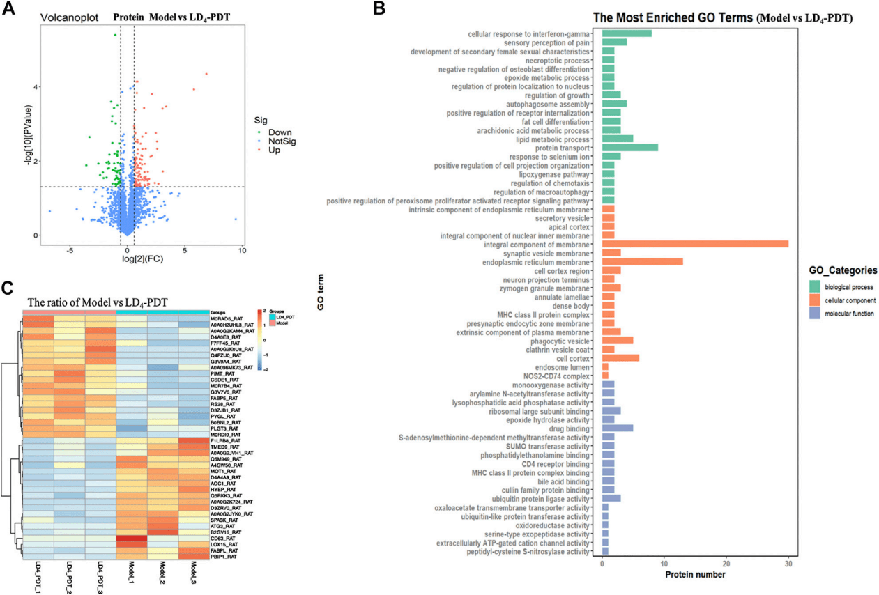 新澳2024年正版資料,數據驅動方案_裝飾版74.876