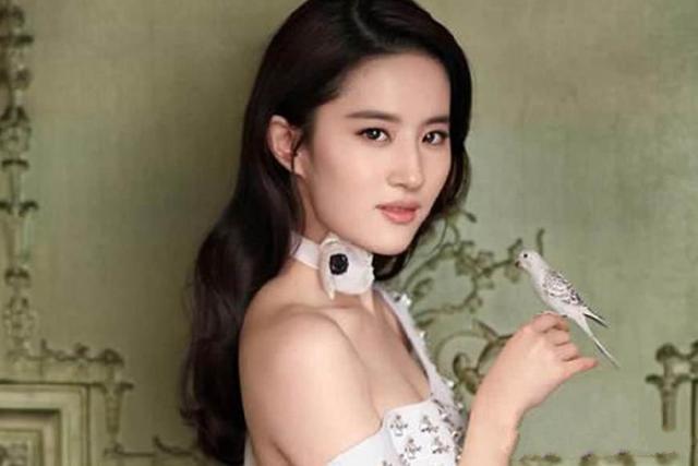 女明星英語學(xué)習(xí)指南,步驟詳解與必備技巧