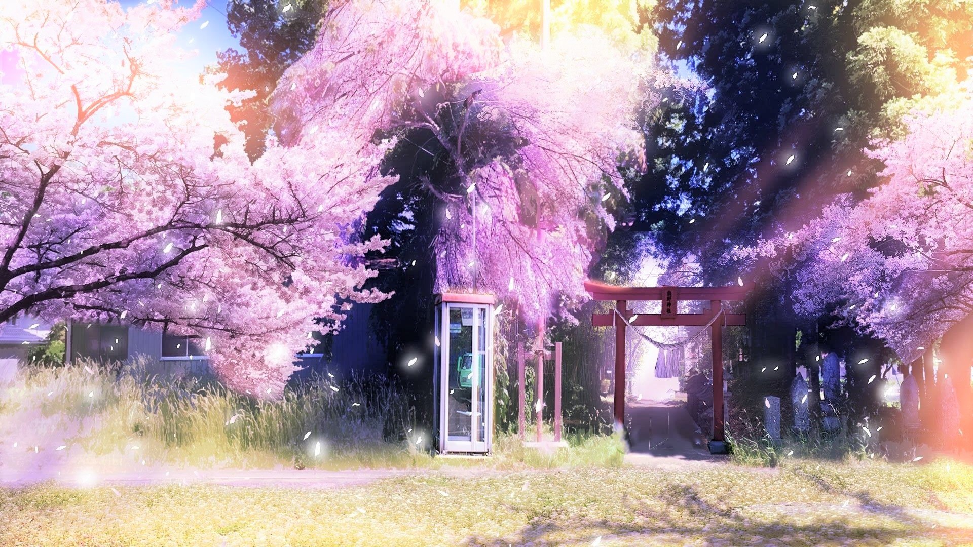 櫻花動漫電腦,值得關注還是過客?品牌深度解析