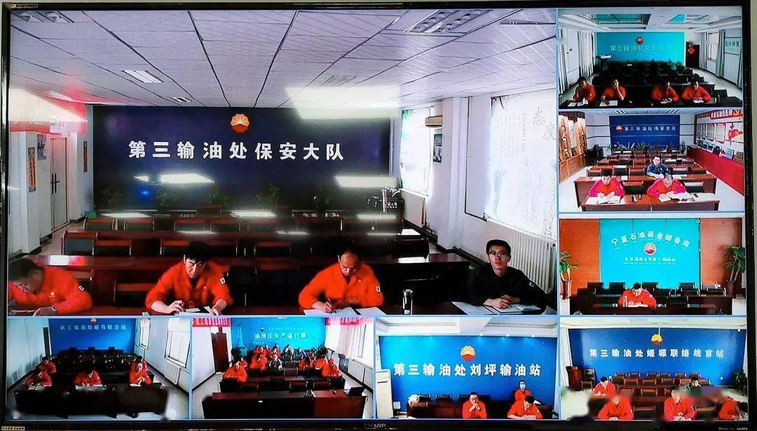 白小姐三期必開一肖,科學解說指法律_薄荷版77.859