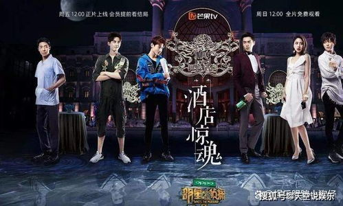 明星大偵探第八季免費觀看,心靈與自然的奇妙探險之旅