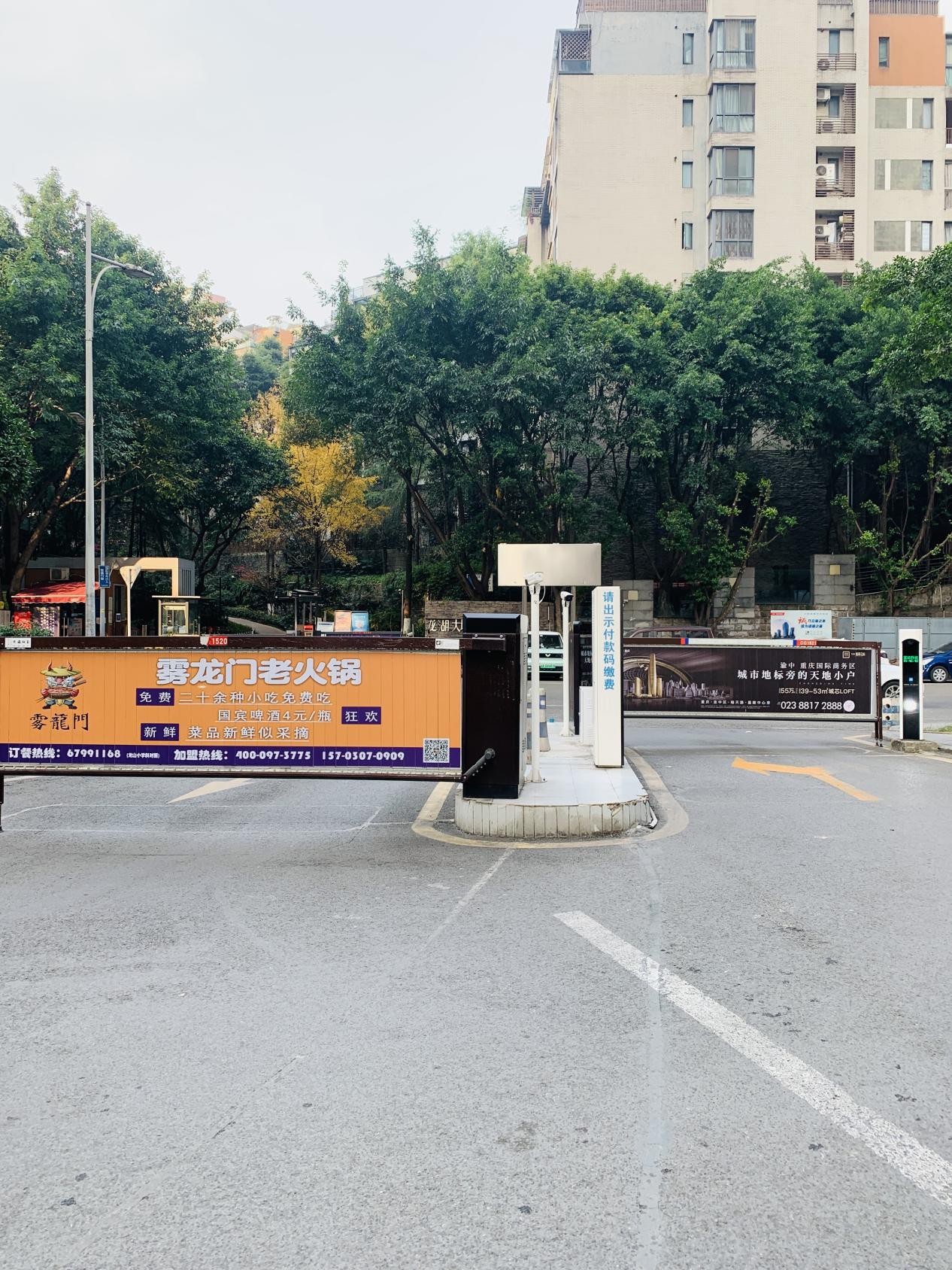 金易e世界最新資訊,獲取與了解詳細步驟指南