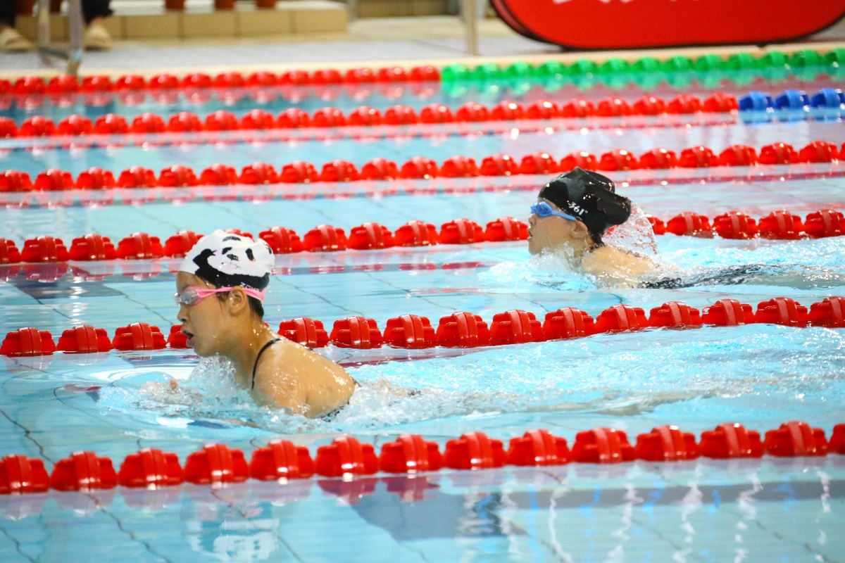 組織游泳比賽全程指南，從策劃到實施一步到位