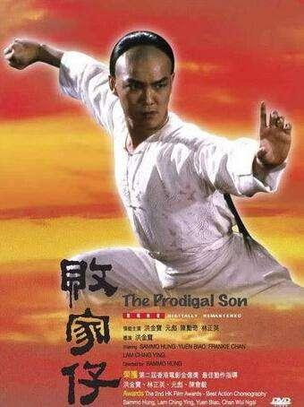 敗家仔電影,小巷深處的影視寶藏探索