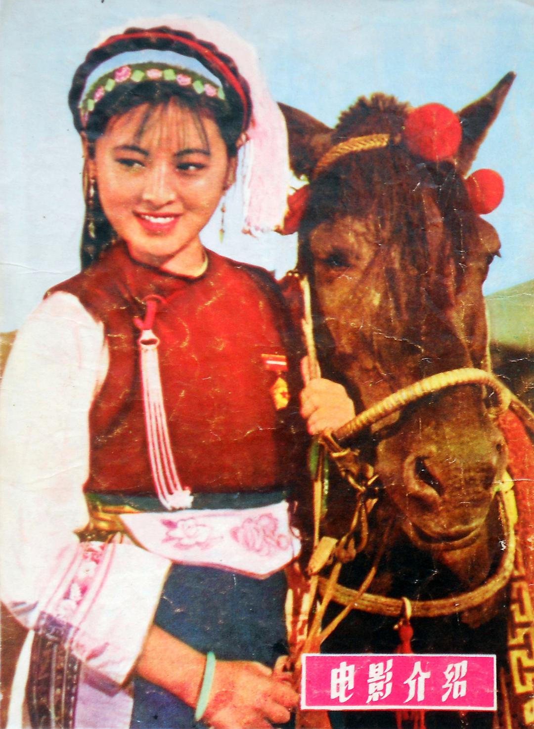 電影五朵金花演員表,光影之間的友情之花綻放