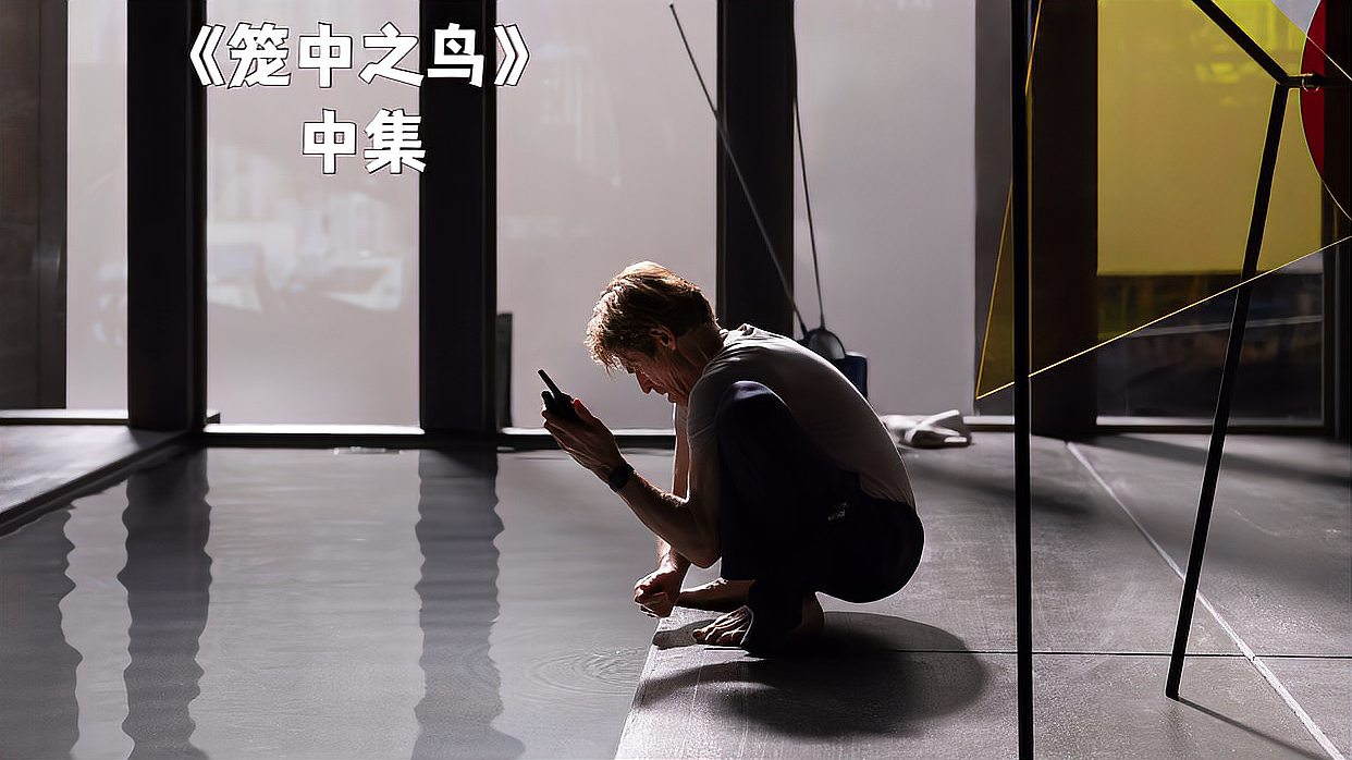 籠中鳥電影,高科技影視盛宴,開啟前所未有的視聽新紀元體驗