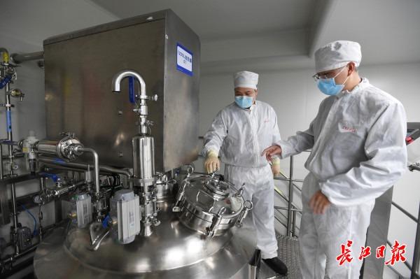 人福醫藥最新動態更新,最新消息匯總