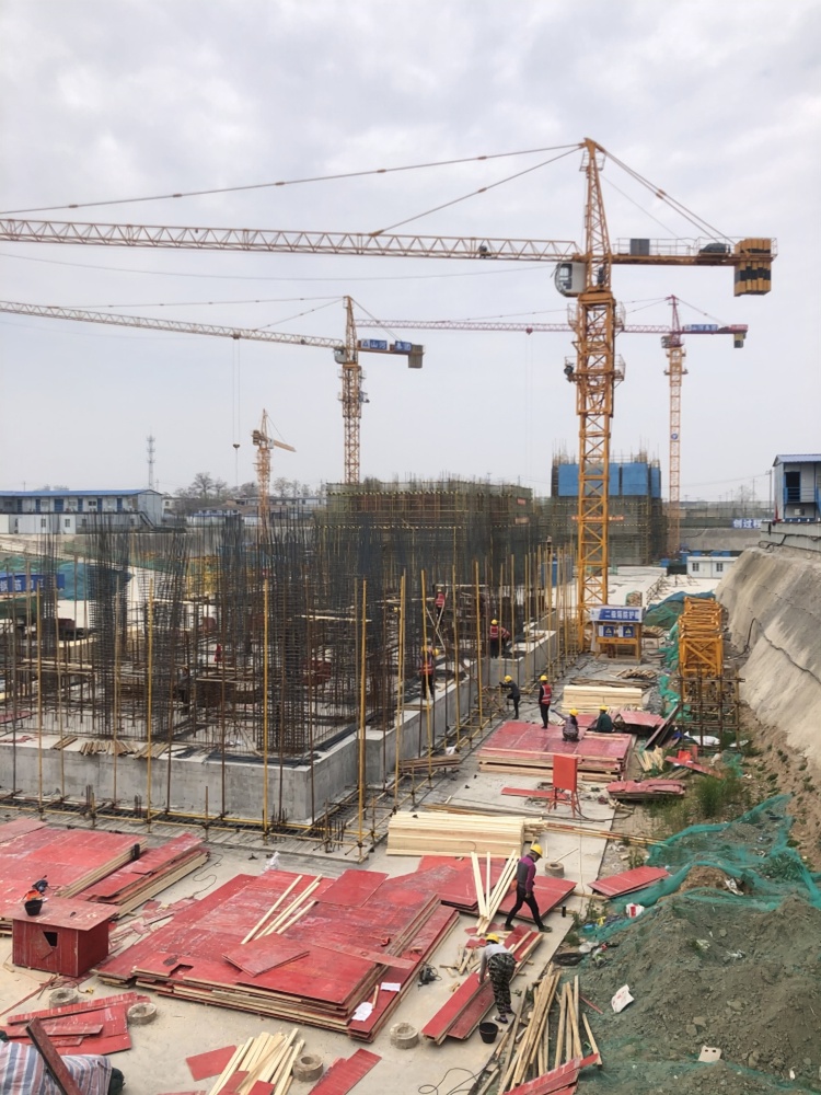 龍泊灣樓盤最新動態更新,全面解析最新資訊