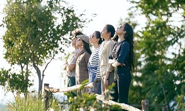 去有風的地方電視劇超清免費觀看，深度解析與體驗分享