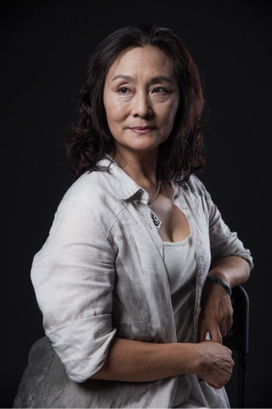 賽鳳的演員,影視界的璀璨明珠閃耀時刻