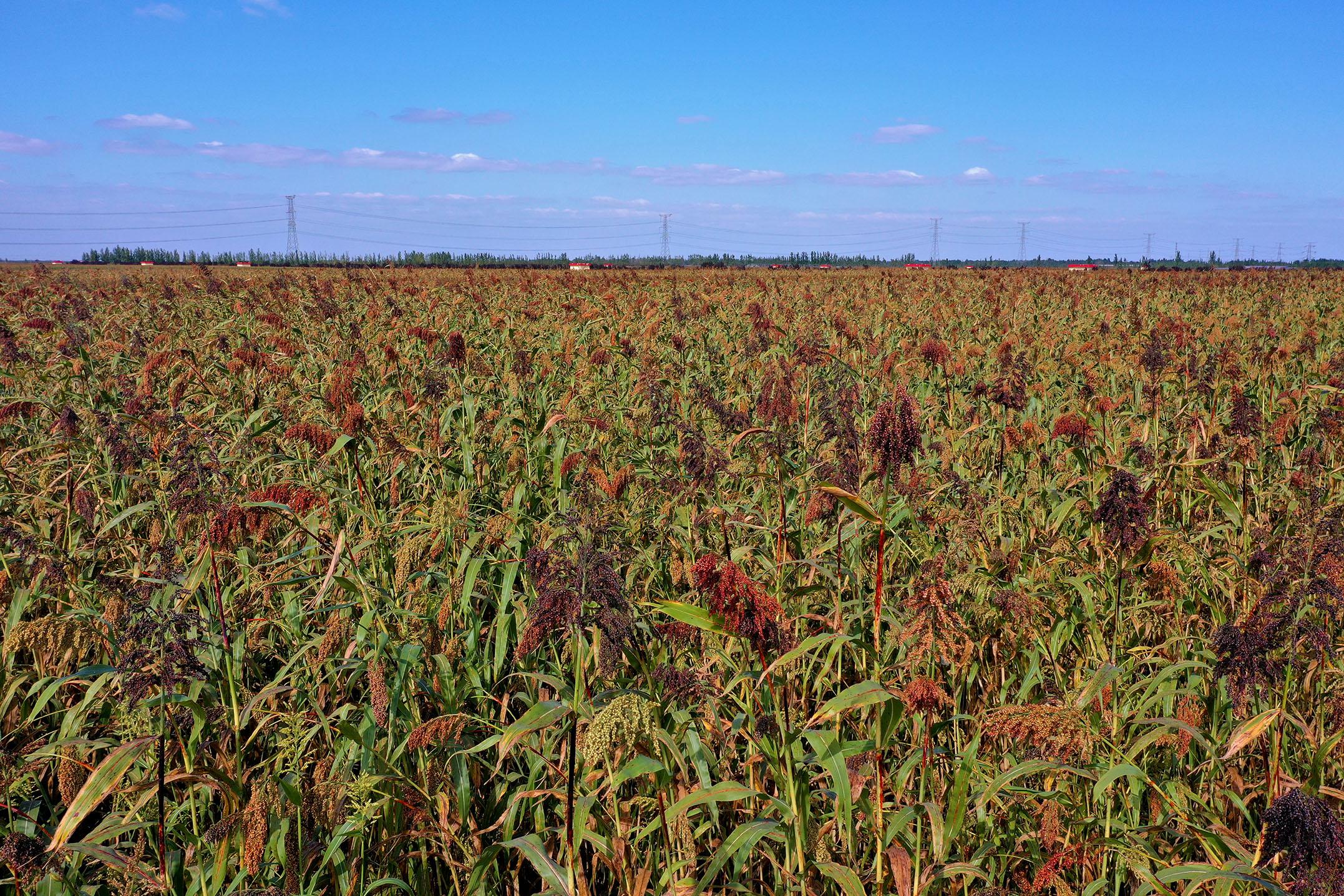 電視劇與自然美景之旅，探尋內心的平和與喜悅之旅