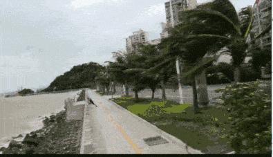珠海臺風最新動態，風雨中的勵志故事