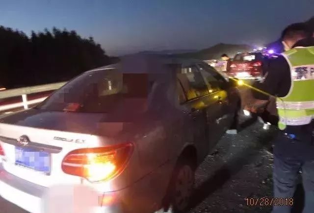 最新高欄車型發布,購買與選擇指南全解析