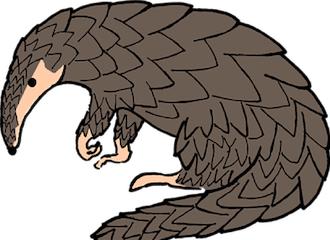 揭秘最新病毒資訊，你必須了解的事！