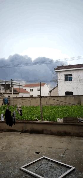 灌南最新動態，自然美景探索之旅的治愈力量