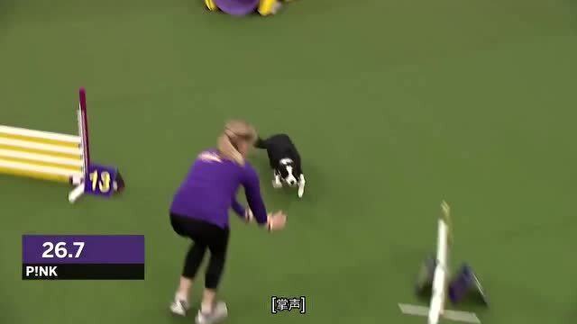 敏捷比賽全攻略，從入門到精通的競賽指南