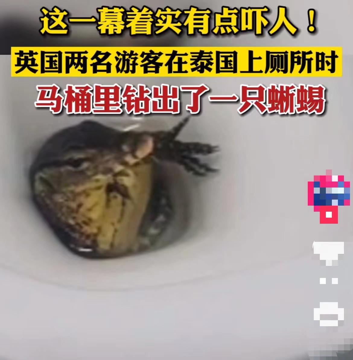 最新蛇咬事件，自然探險之旅遭遇意外危機