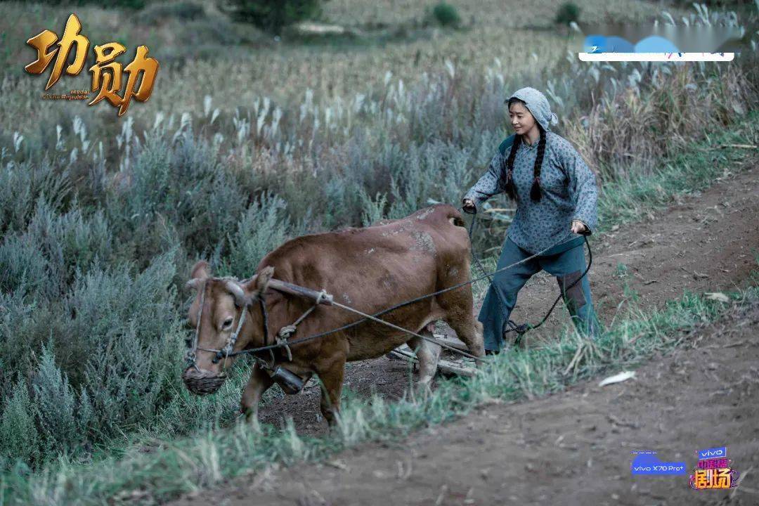 申紀蘭演員表制作指南，從初學者到進階用戶的步驟參考