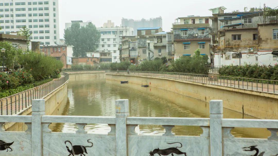 南陽銀基最新動(dòng)態(tài),南陽銀基最新動(dòng)態(tài)