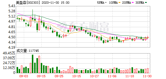 美盈森股票，小巷特色小店的無限魅力探索