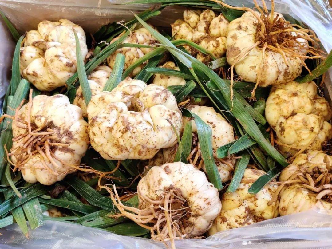 豇豆價格最新行情，科技智能引領生活，應用升級再掀波瀾