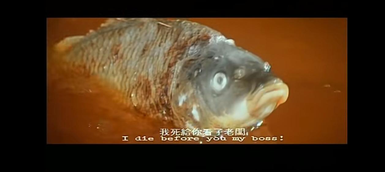 香港經(jīng)典老電影,時(shí)代印記與文化傳承的輝煌歷程