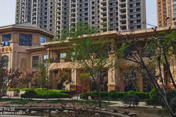 安陽帕提歐，巷深美食秘境，最新資訊盡在其中！